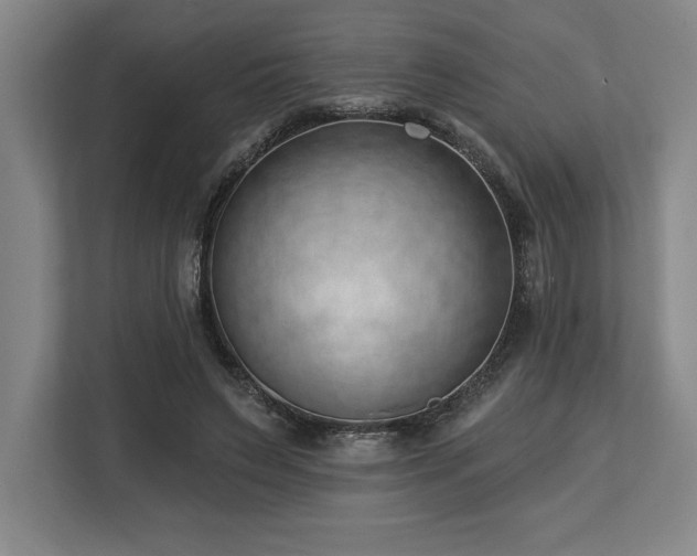 X0000113740495200909231155