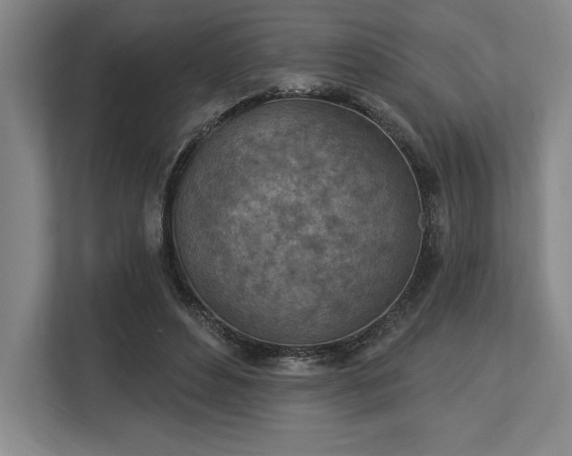 X0000113740496200909231155