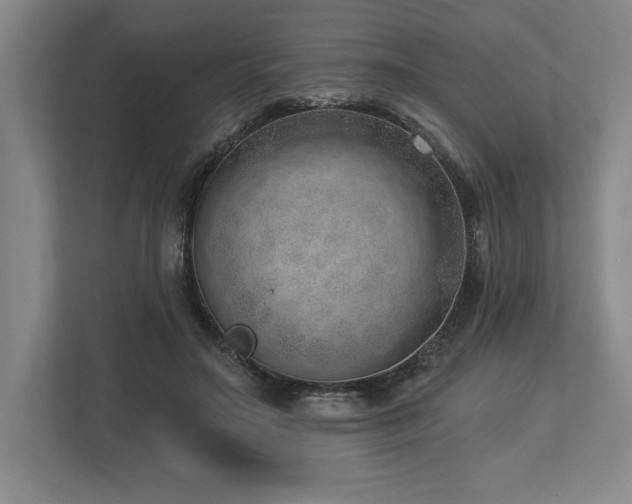 X0000113740499200909231155