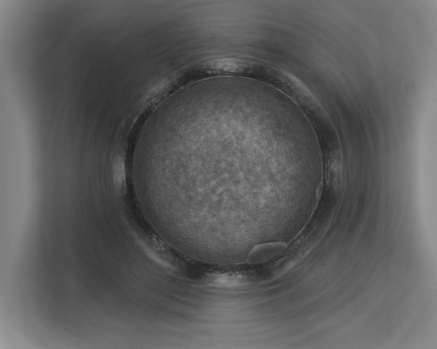 X0000113740500200909231155