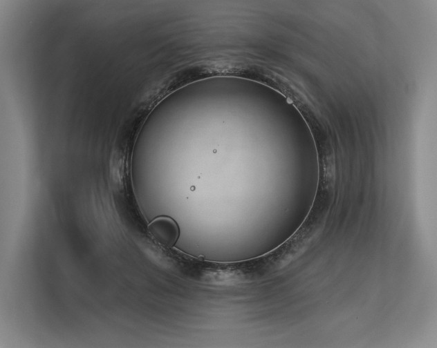 X0000113740503200909231155