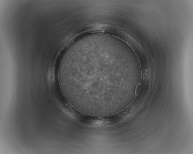 X0000113740504200909231155