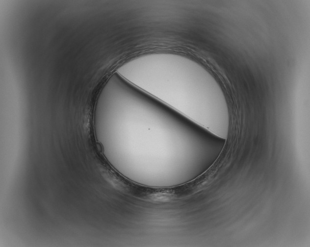 X0000113740505200909231155