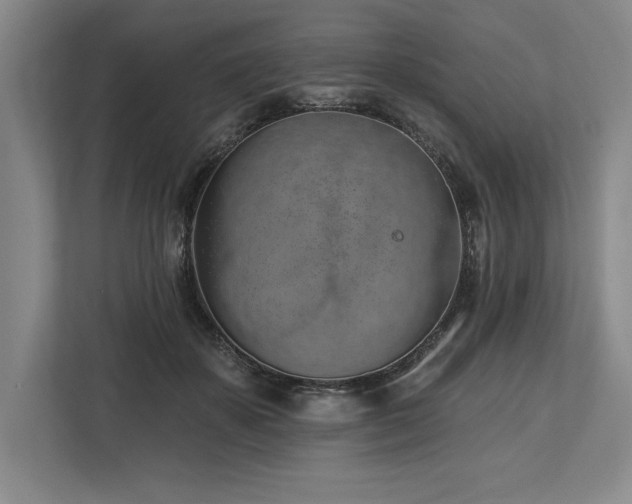 X0000113740507200909231155