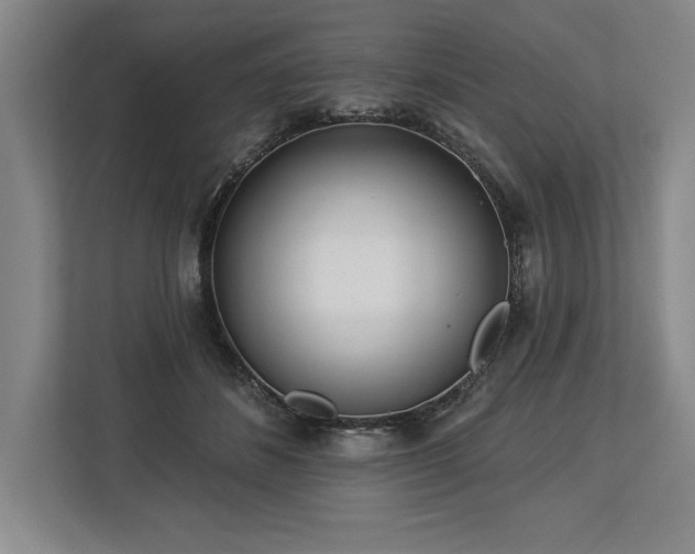 X0000113740508200909231155