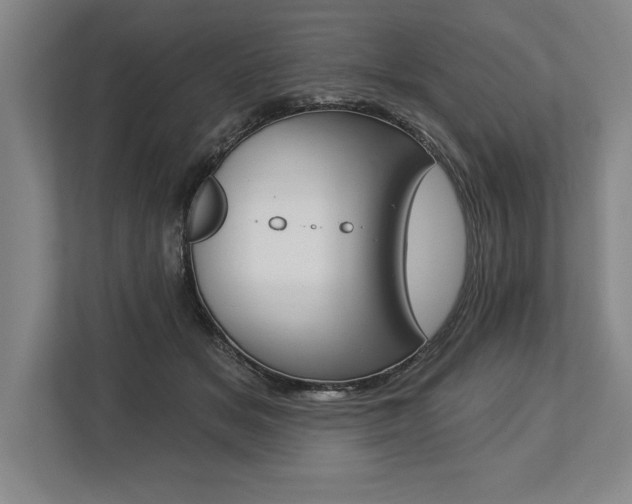 X0000113740509200909231155