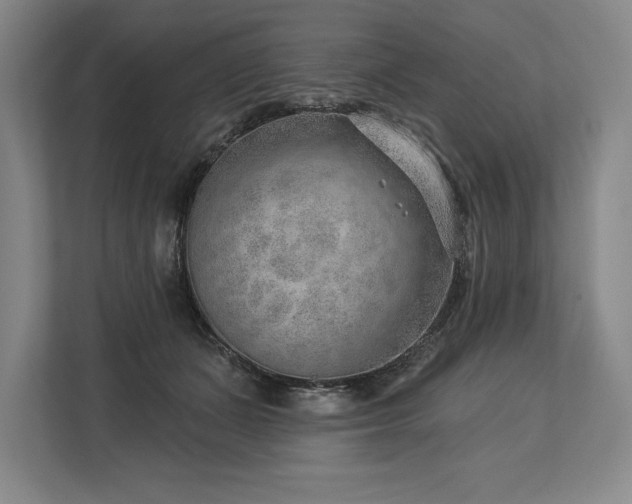 X0000113740511200909231155