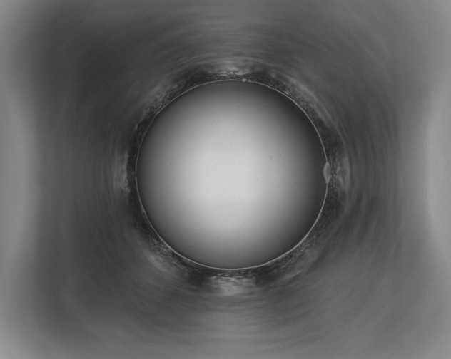 X0000113740512200909231155