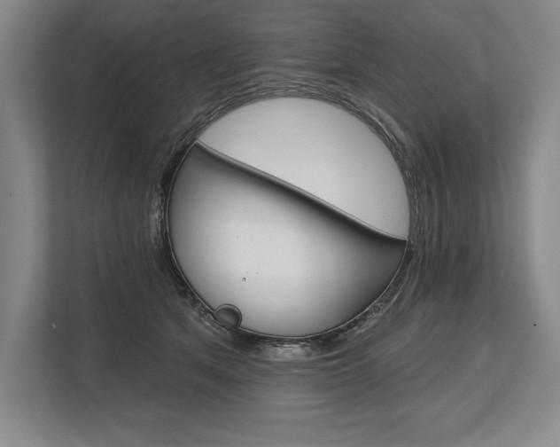 X0000113740513200909231155