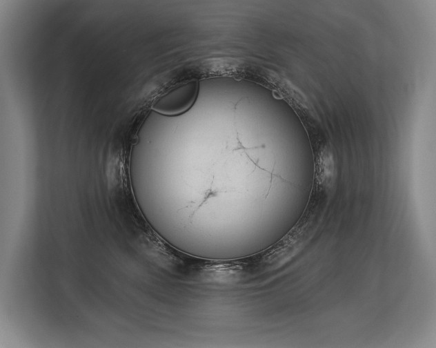 X0000113740522200909231155