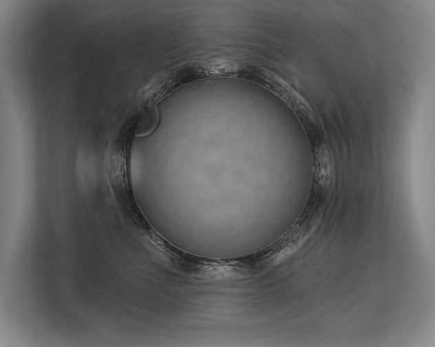 X0000113740523200909231155