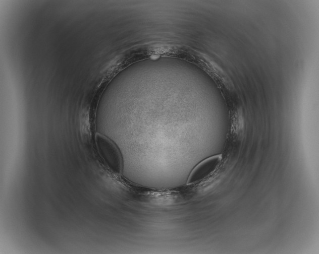 X0000113740524200909231155