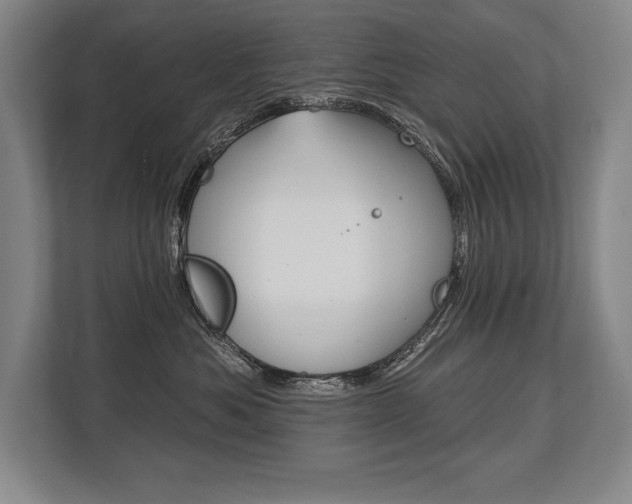 X0000113740525200909231155