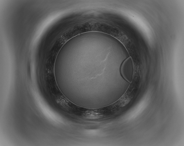 X0000113740526200909231155