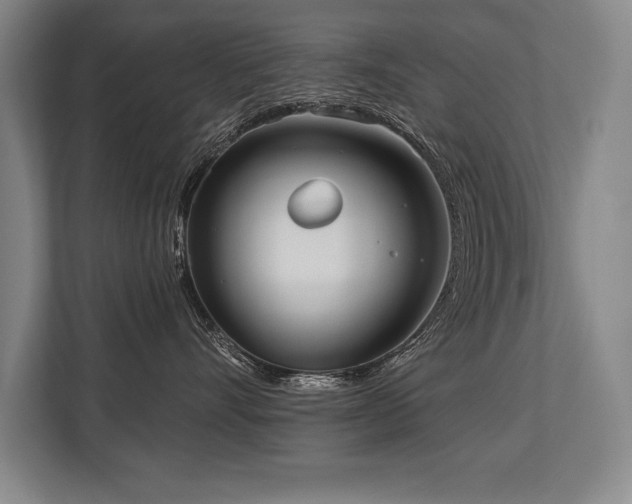 X0000113740528200909231155