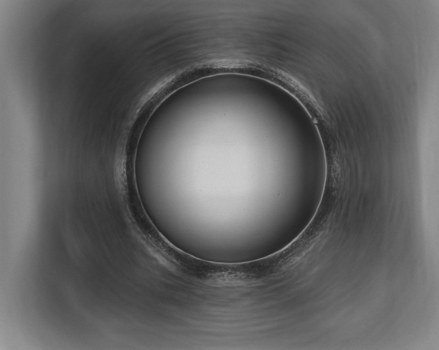 X0000113740535200909231154