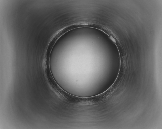 X0000113740536200909231154