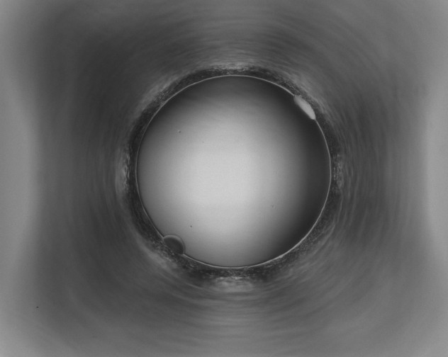 X0000113740544200909231154