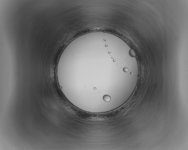 X0000113740545200909231154