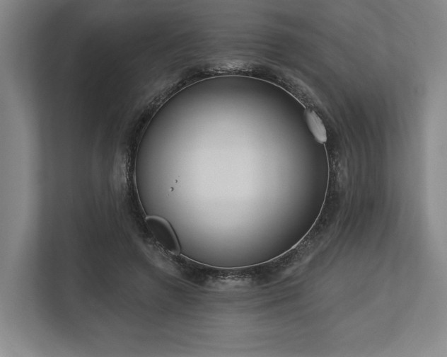 X0000113740546200909231154