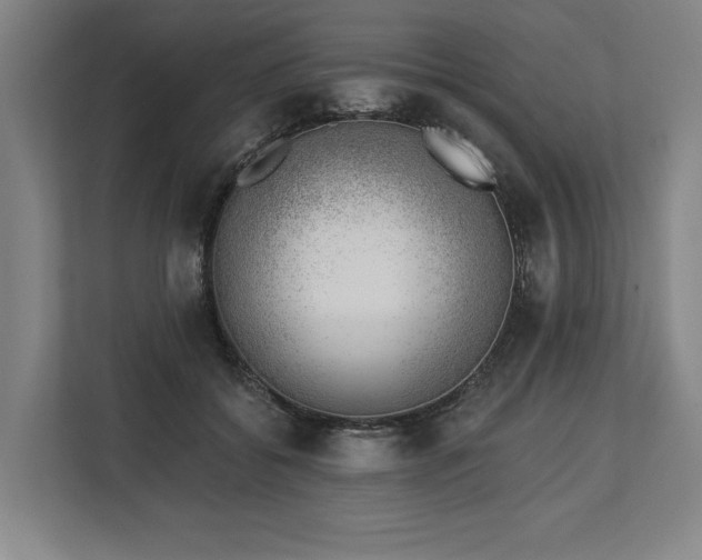 X0000113740556200909231154