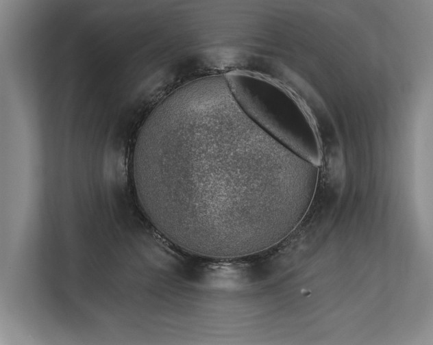 X0000113740558200909231154