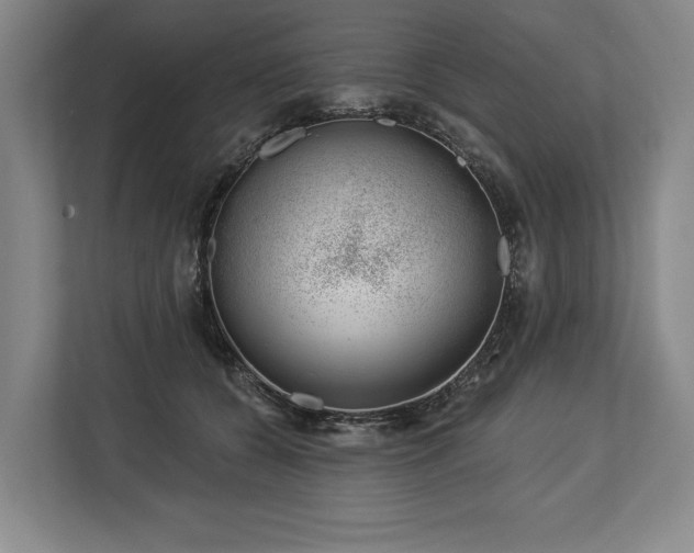 X0000113740560200909231155