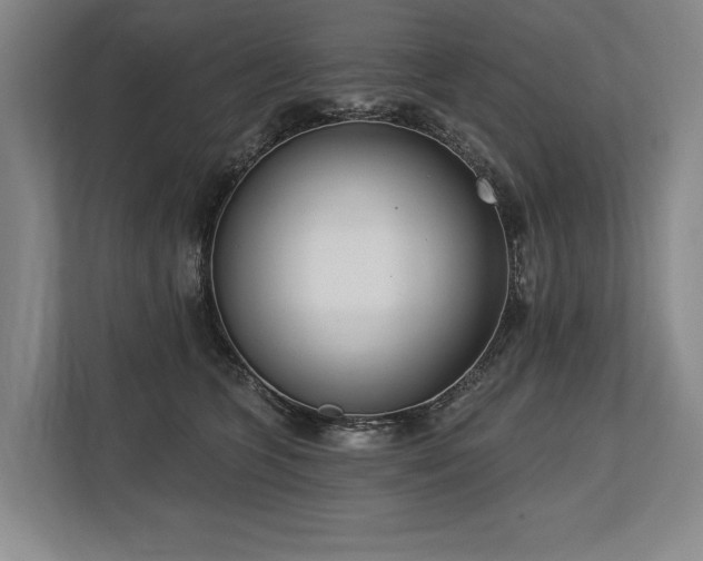 X0000113740563200909231155