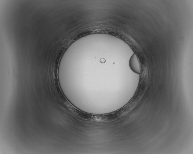 X0000113740565200909231155