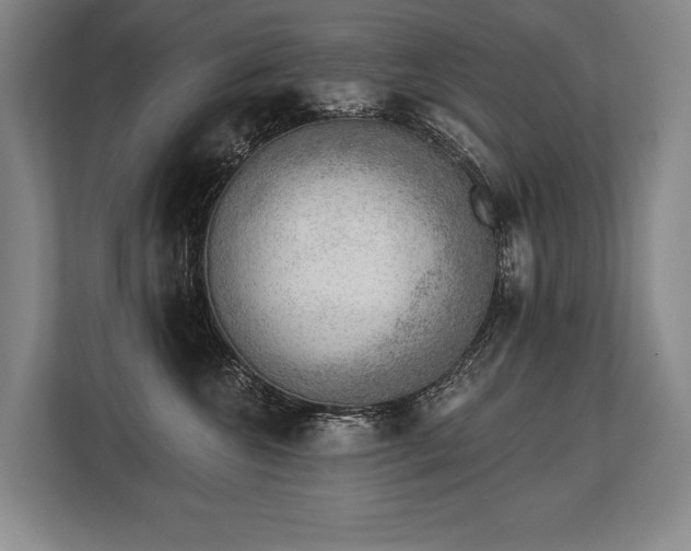 X0000113740572200909231155