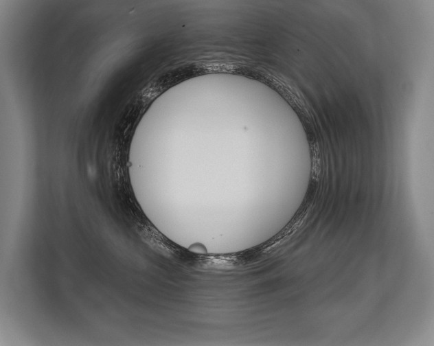 X0000113740573200909231155