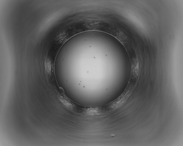 X0000113740574200909231155