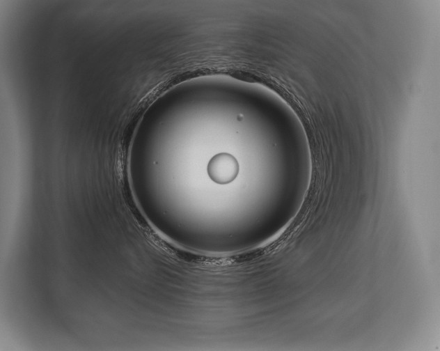 X0000113740576200909231155