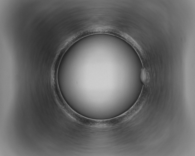 X0000113740581200909231154