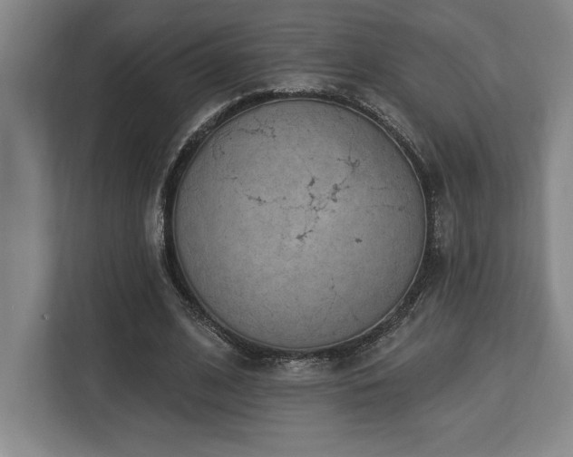 X0000113740584200909231154