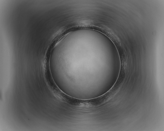 X0000113740591200909231154