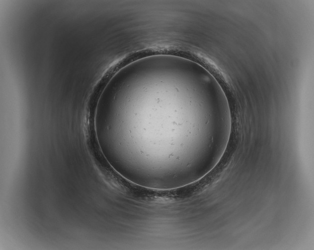 X0000113740592200909231154