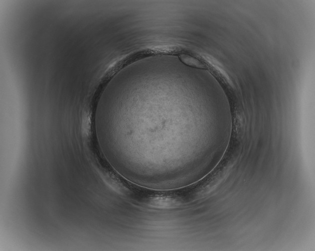 X0000113740596200909231154