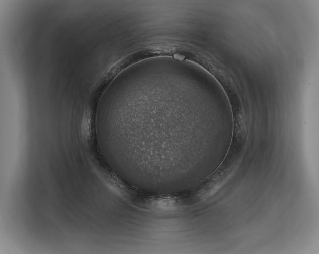 X0000113740600200909231154