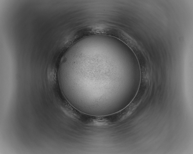 X0000113740603200909231154