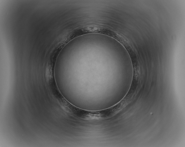 X0000113740606200909231154