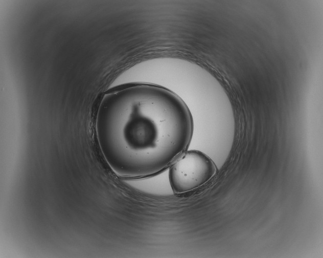 X0000113740609200909231154