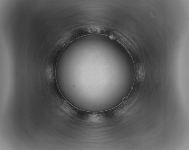 X0000113740616200909231154