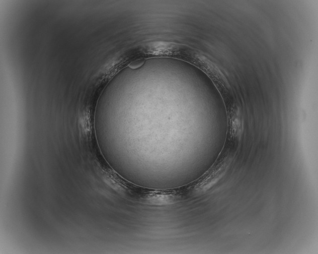 X0000113740620200909231154