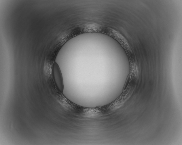 X0000113740621200909231154