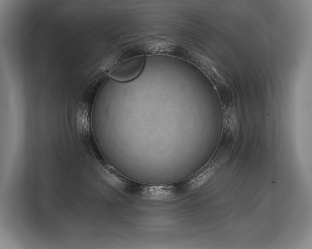 X0000113740622200909231154