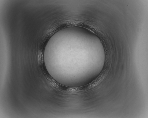 X0000113740624200909231153