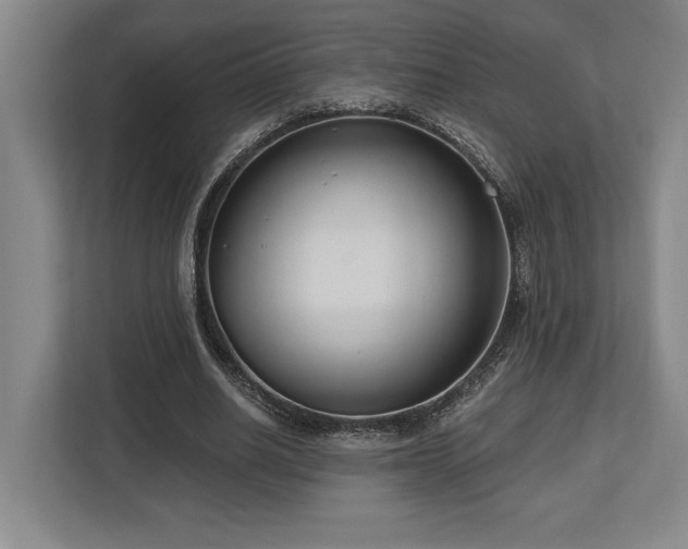 X0000113740630200909231153