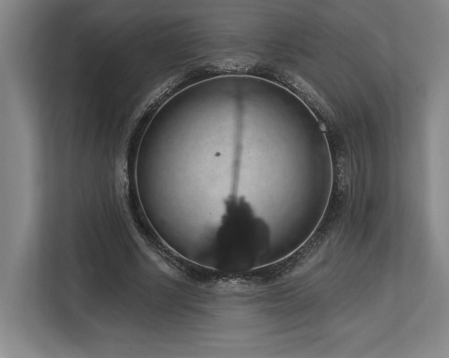 X0000113740634200909231153