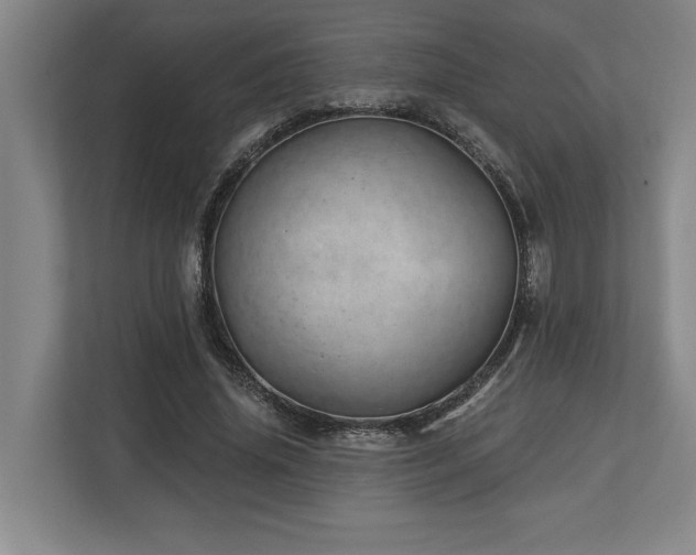 X0000113740636200909231153